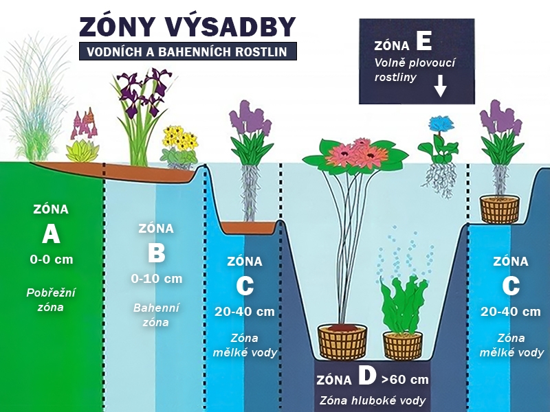 Vodni Kytky