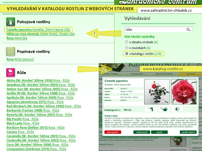 Vyhledavani Rostlin (listové čepele, plodu semene, Přítomnost speciálních, Přítomnost speciálních struktur, speciálních struktur) Vyhledavani Rostlin