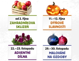 Zitky v roce 2025 - Obrzek