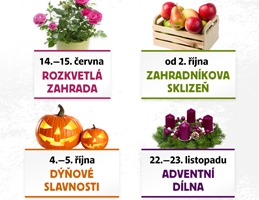 Zážitky v roce 2025 - Obrázek