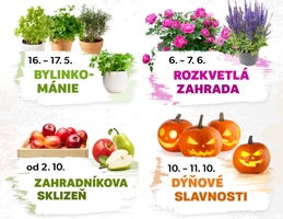 Z�itky v roce 2026 - Obr�zek