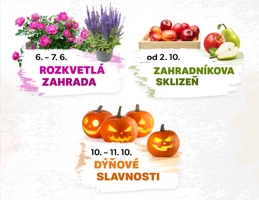 Z�itky v roce 2026 - Obr�zek