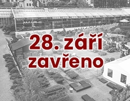 Státní svátek 28. 9. zavřeno - Obrázek